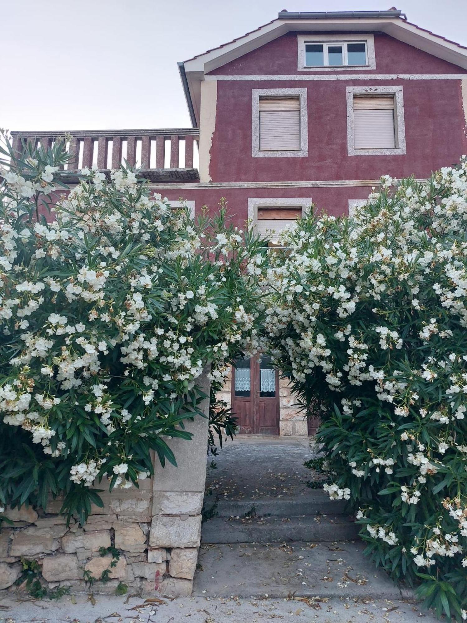 Apartment Bozava - Nena Exterior photo